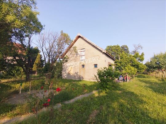 Uknjižena - 25 ari