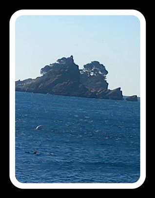 Crna Gora, Petrovac, apartman