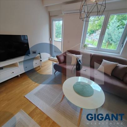 Banjica, 53m2, I, eg                              