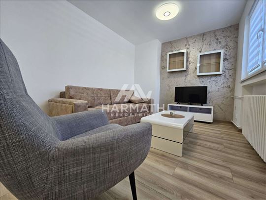Izdaje se stan 40m2 Radijalac - Subotica