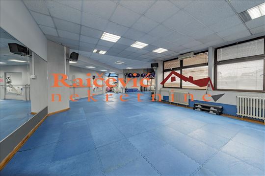Banovo brdo, Pozeska, 6.0 PP od 273 m2 
