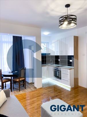 Dedinje, 55m2, I, cg