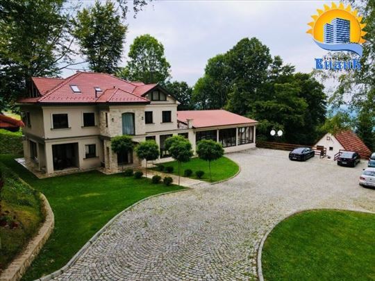 Rajački konaci, Česte bukve