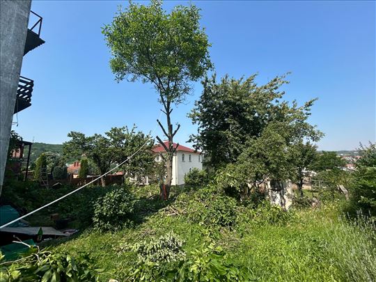 Професионално обарање и поткресивање дрвећа 