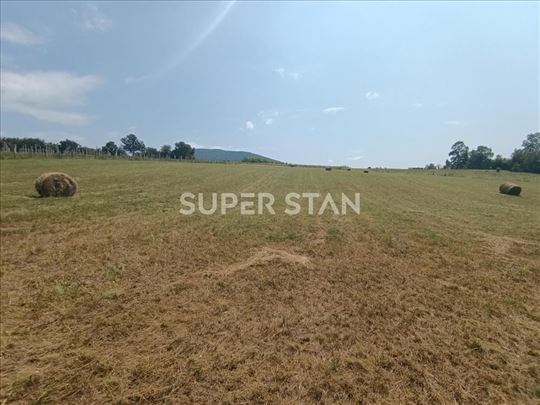 Plac u Rogači ID#1208