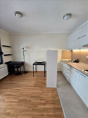 Šumice, garaža, pet friendly