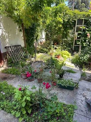 Bežanijska kosa, I mesna zajednica, Vojvođanka ID#