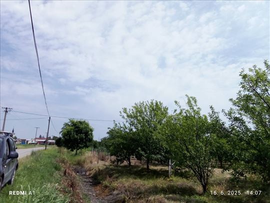 Ilinci plac2153m2 pod voćnjakom gradjevinsko HITNO