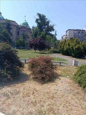 Centar - Kosovska, salonski stan u prizemlju ID#51