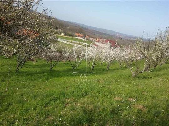Plac Ripanj , Kragujevački put, 51ar placa ID#1054