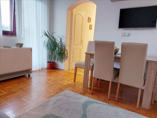 Višnjička Banja, pet friendly