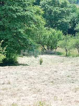 Tara,Zaovine