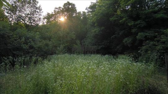 Barajevo-Guncati, Beogradska