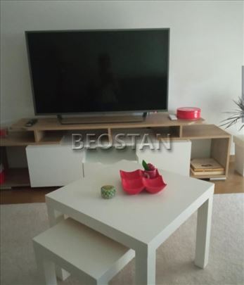 Centar - Lion #62799