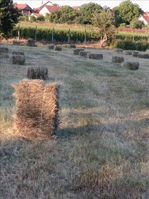 Bale sena - Kruševac