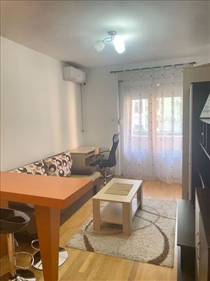 Garsonjera na Grbavici ! Braće Ribnikar