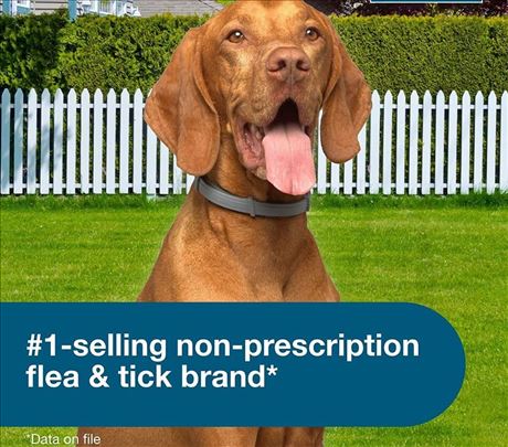 Ogrlica protiv parazita za velike i male psi