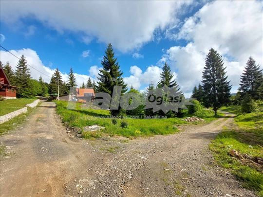 Tara 40 a, Nagramak ski staza, Sekulic