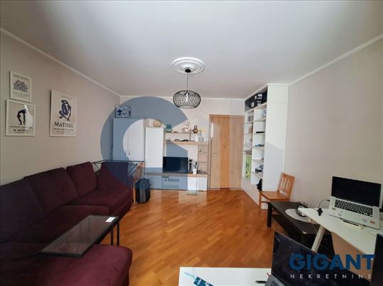 Skupština, 42m2, V, cg   