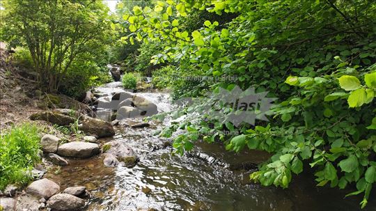 Stara planina plac sa dozvolom