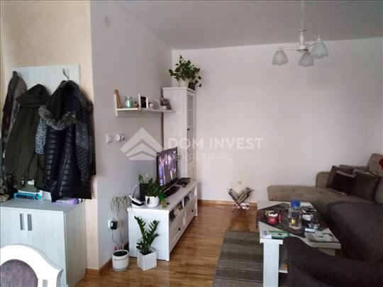 Altina, Svetomira Đukića, 1.5, 46m2