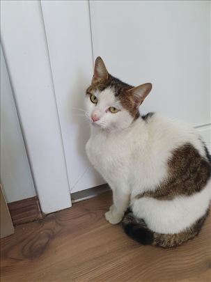 Mila je ostala na ulici