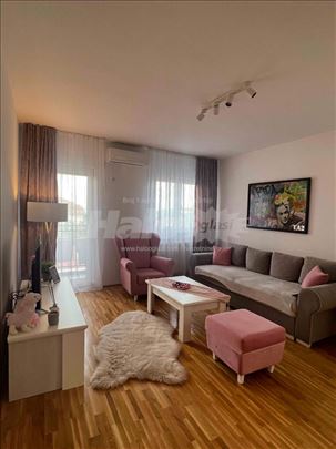 Kluz, Milana Rakića, Lux, Vlasnik