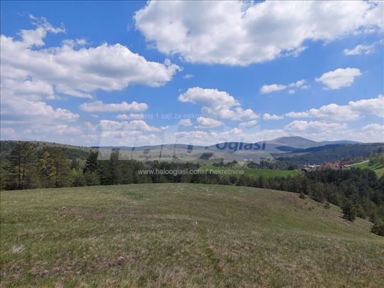 Zlatibor plac Kobilja Glava