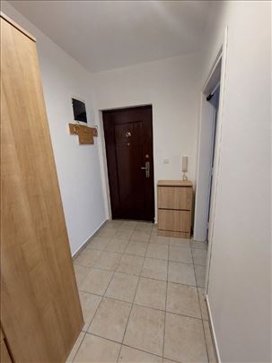 Borča,Vizeljska,40m2,1-5, II sprat,namešten,300e