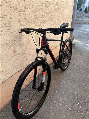 Polar Tsunami 29"