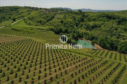 Aranđelovac - Misača, imanje 7.44ha, uknj. ID#1436