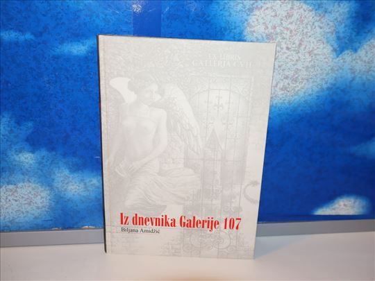 iz dnevnika galerije 107 biljana amidžić
