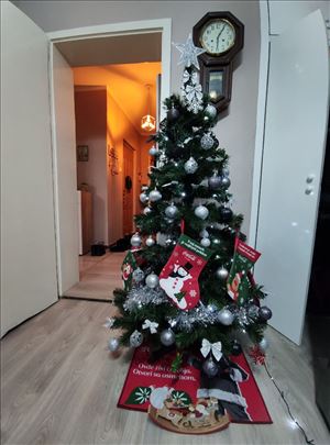 Jelka bez dekoracije
