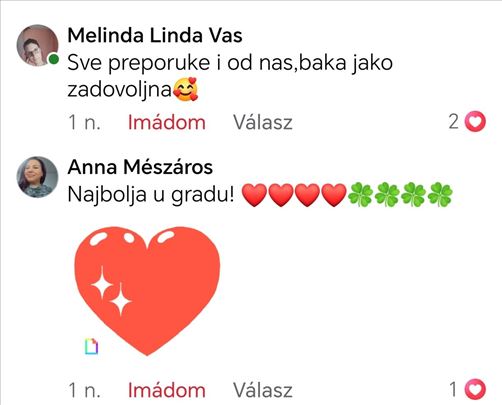 Kucna nega - terenske izlaske 