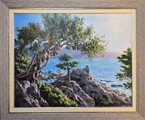 Moje more, Staniša Stojiljković Nite, sa 100x120 c