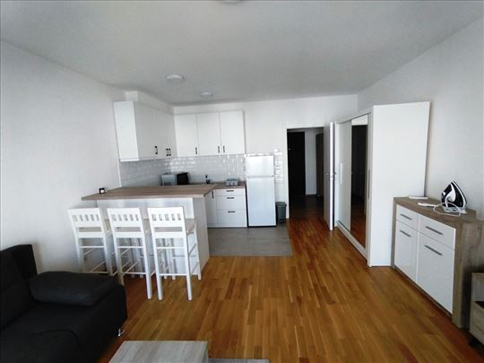 Banjica kod Paunovog brega 33,43 m2 3/4 1,0 EG 400