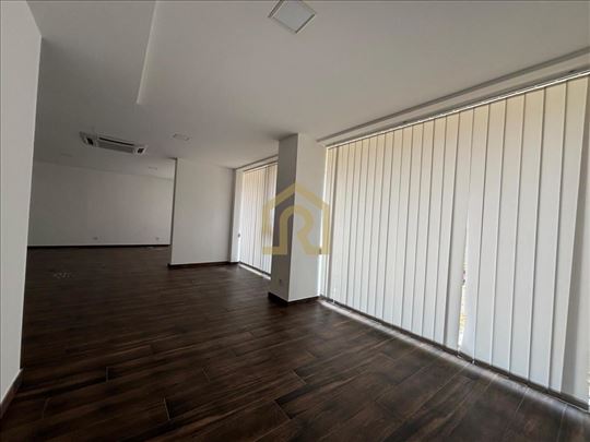 Izdavanje, pp, Juzni bulevar, 353m2, Id1081