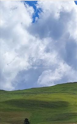 Zlatibor plac 