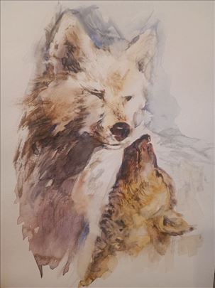 Akvarelna slika 21/29