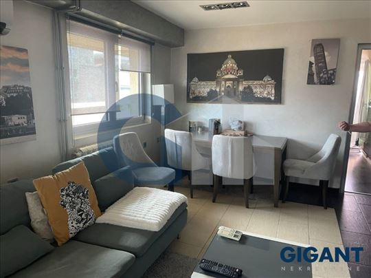 Botanička bašta, 130m2, VI, cg