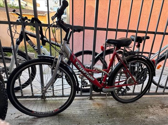 Capriolo bicikl 24”