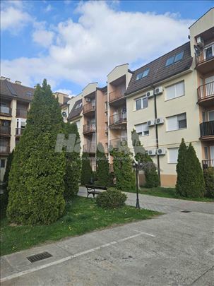 Garsonjera u centru Bačke palanke