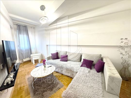 Komforan, dvosoban stan u centru grada 