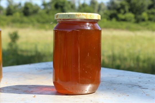 Livadski med 1kg (teglica)