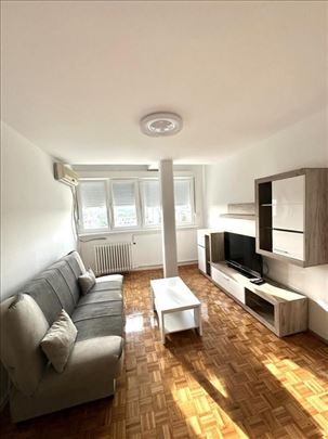 Novi Beograd-Opština-Dvosoban-Renoviran ID#2997