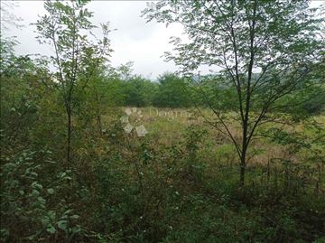 Odličan plac na Avali