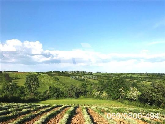 Plac na Kosmaju-Mladenovac-Velika Ivanča ID#3339