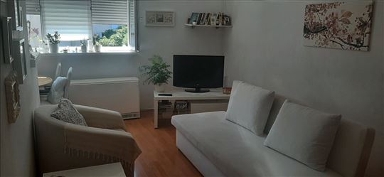 Prodaja 2.0 stana,Dorcol,Braće Baruh