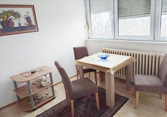 Bogoslovija, 20m2( 0,5) namešten,  odmah useljiv