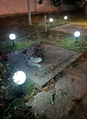 Dekorativne LED solarne kugle za dvoriste